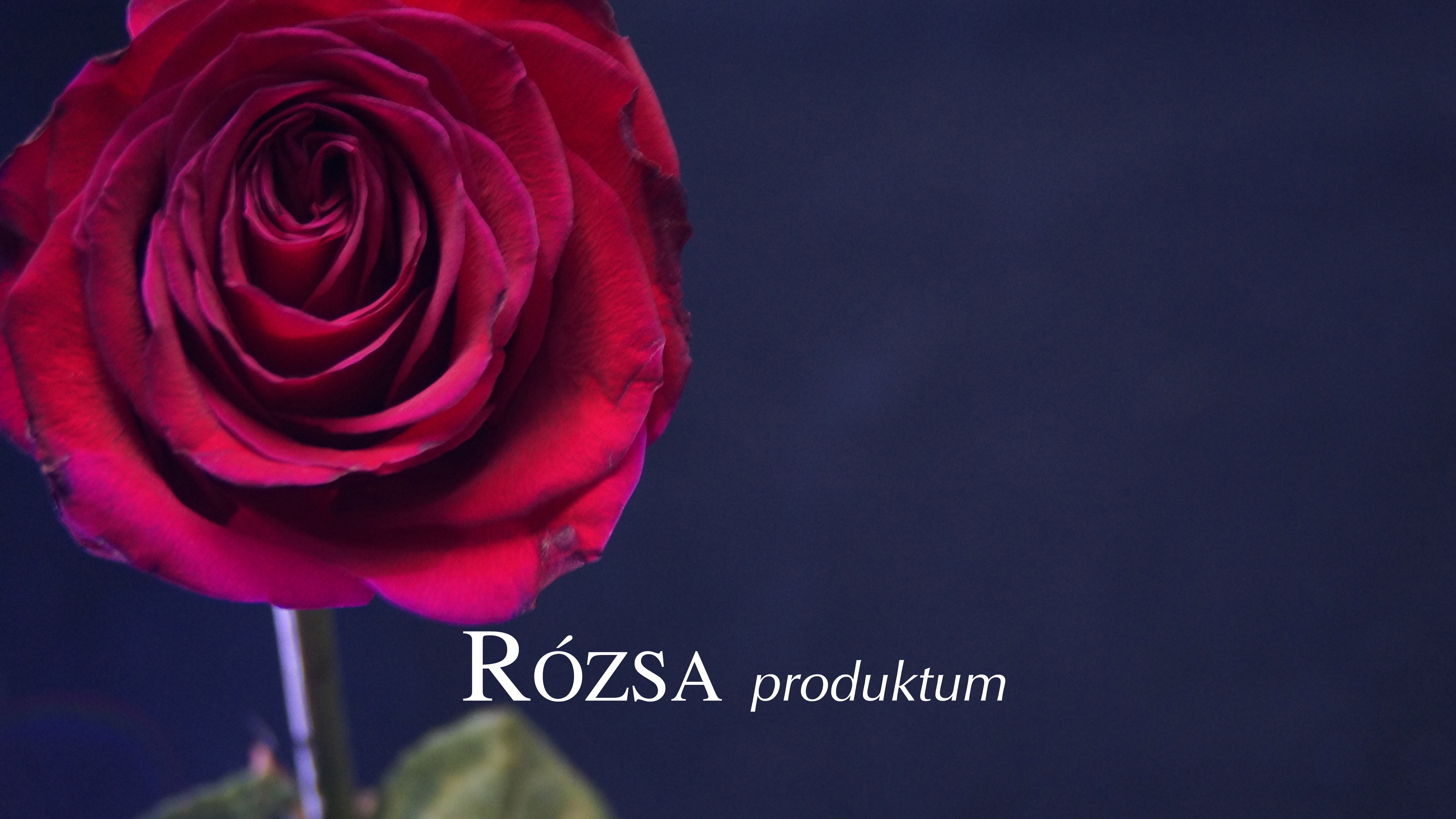 Rózsa Produktum